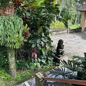 https://balimas-guest-house.ubudhotelsnow.com